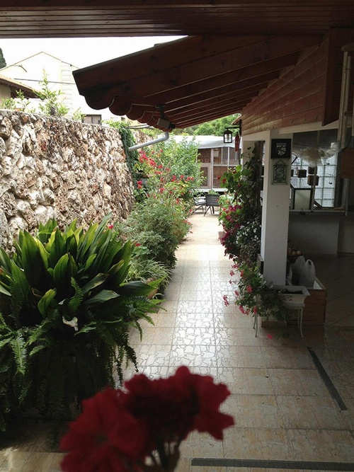 Mina Teva image 1