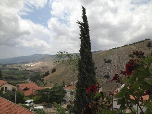 Mina Teva image 12