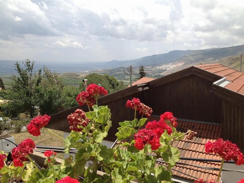 Mina Teva image 8